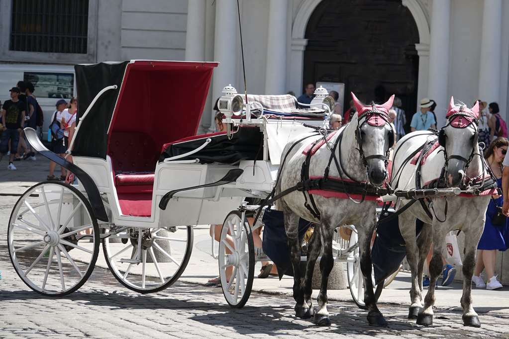 Calmo 3* Vienna